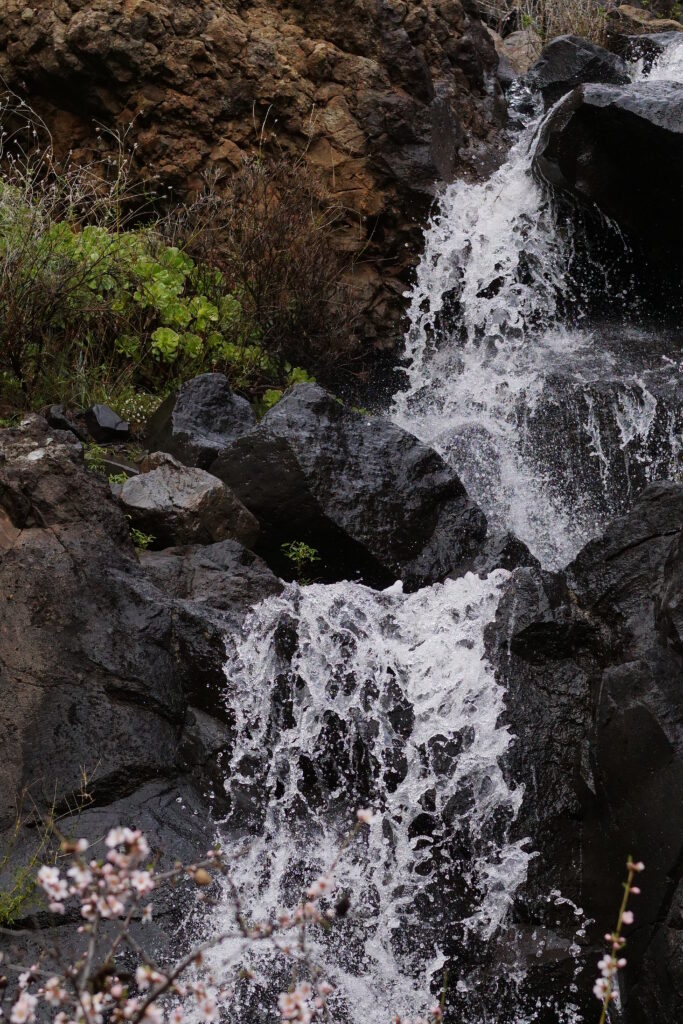 Schnell fließender Wasserfall über dunkle Felsen mit rosa Blüten im Vordergrund und grüner Vegetation.